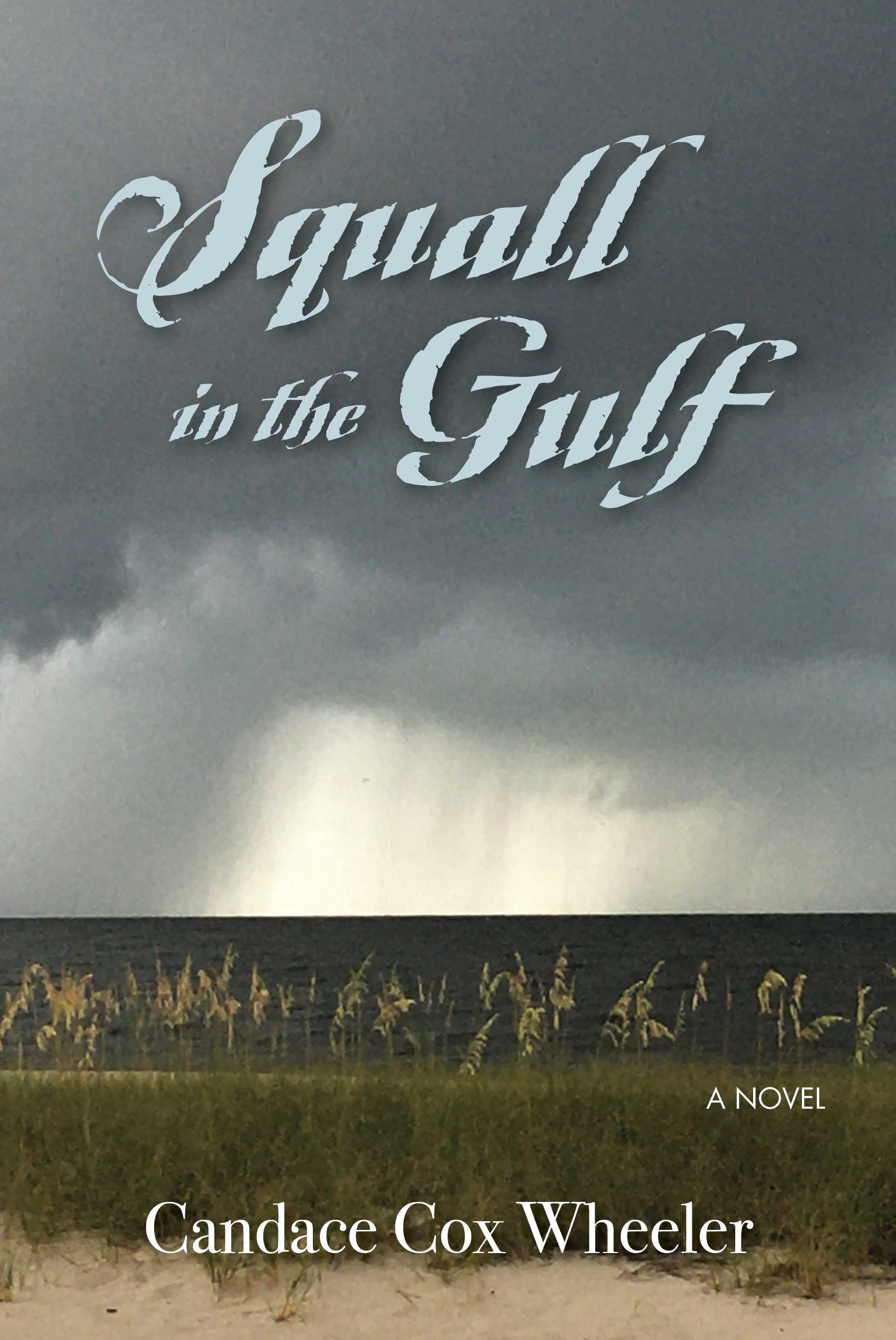 Squall in the Gulf front cover